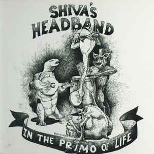 Shiva’s Headband