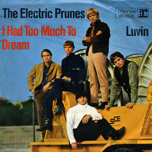 Electric Prunes, The